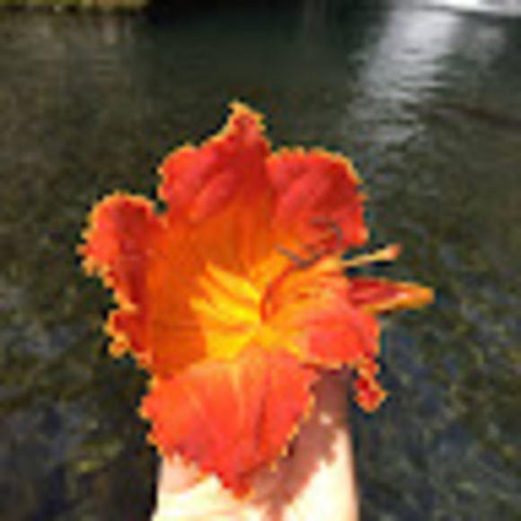 Meet your Posher, Hannah - Picture 1 of 1